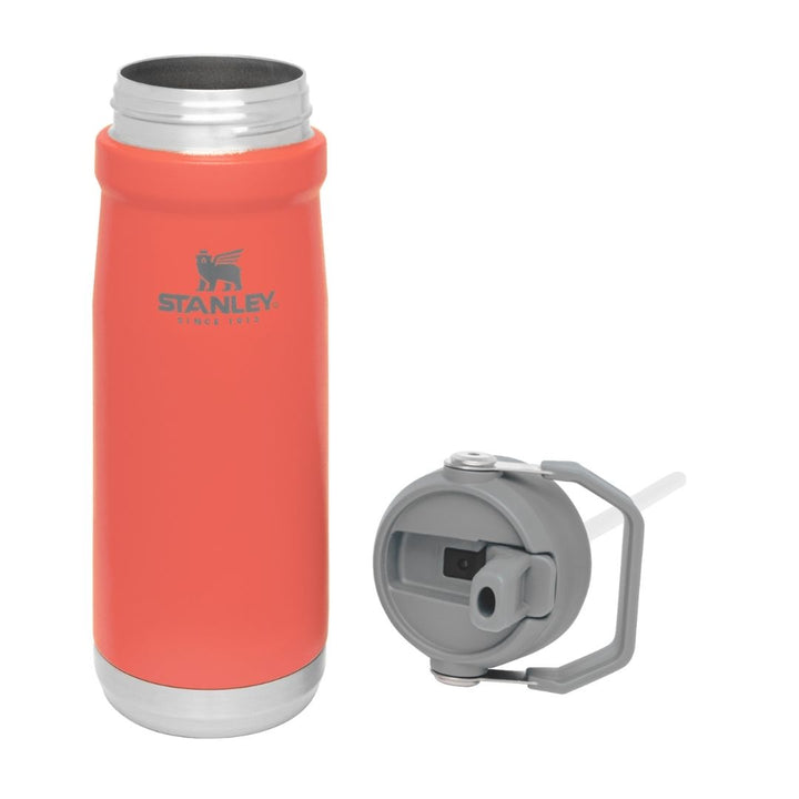 BOTTLE STANLEY FLIP STRAW BOTTLE 500 ML – Stanley1913Store